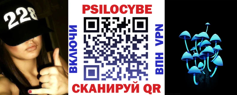 закладка  Полесск  Псилоцибиновые грибы мицелий 